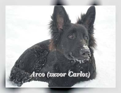 Arco_Carlos_1