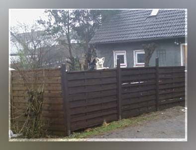 Ilse2-0