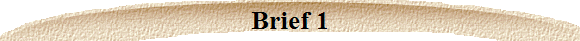 Brief 1