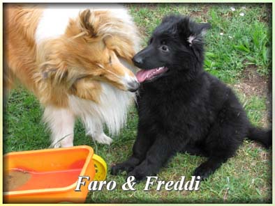 faro05-4