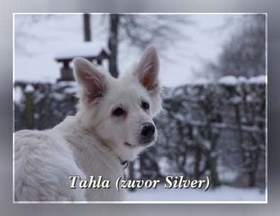 tala 2